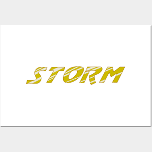 Storm Posters and Art